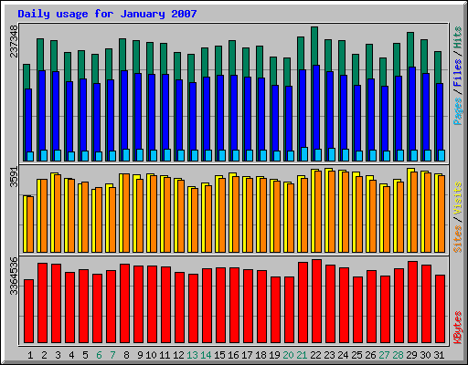 Daily usage for January 2007