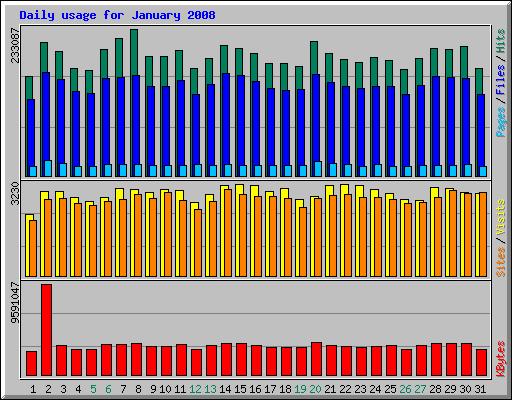 Daily usage for January 2008