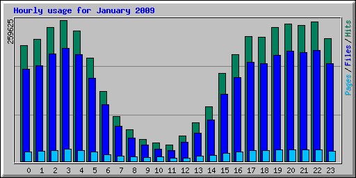 Hourly usage for January 2009