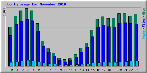 Hourly usage for November 2010
