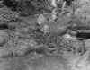 010.jpg (112970 bytes)