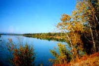 One of the best routes to see leaves turning in the fall is from 70 Mile east to Green Lake.