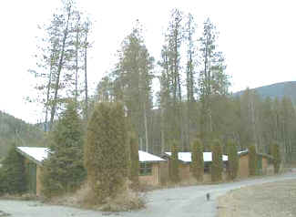 6 Cedar Log Cabins surrounded by mature landscaping