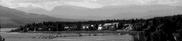 About as artistic as I get, this is a B & W photo of Nakusp taken from the highway to New Denver/ Nelson.
