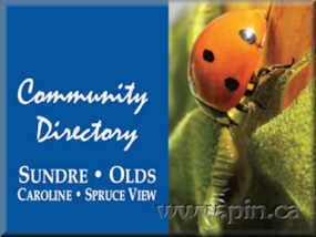 Community Directory, Advertising Sales
