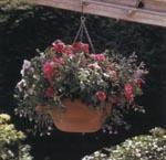 Self Watering Basket.