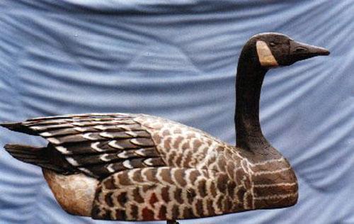 Canada Goose