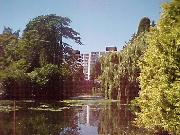 nursing home detroit