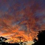 copyright Kinkell, all rights reserved.