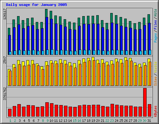 Daily usage for January 2005