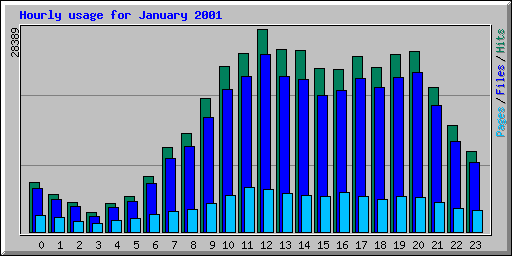 Hourly usage for January 2001