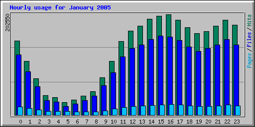 Hourly usage for January 2005