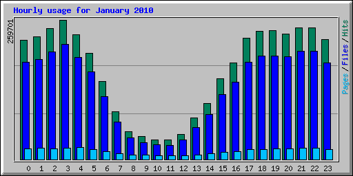 Hourly usage for January 2010