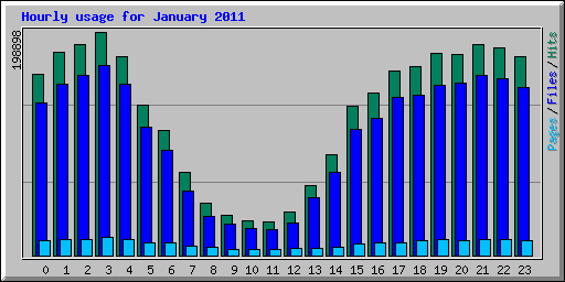 Hourly usage for January 2011